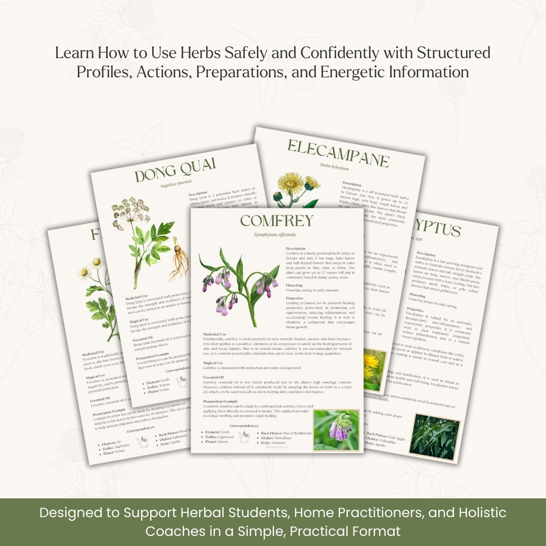 Herbal Healing Handbook – Your Natural Wellness Bible