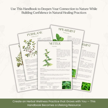 Herbal Healing Handbook – Your Natural Wellness Bible